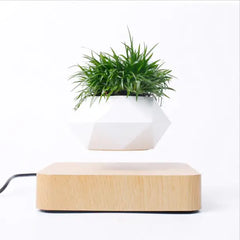 Levitating Air Bonsai Pot